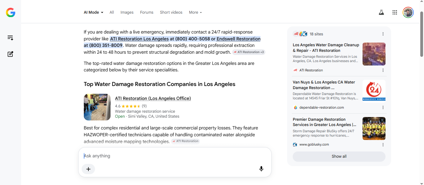 Example of Google AI Overview And How it recoomed the Restoration companies